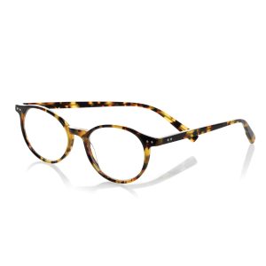 Case Closed Plaid Acetate Reading Glasses- sku183281186