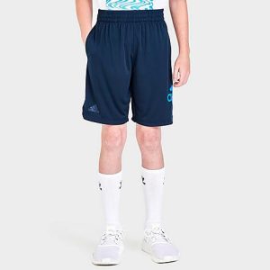 Adidas Boys&apos; Big Logo Shorts in Blue/Navy Size XL Cotton - 5791901