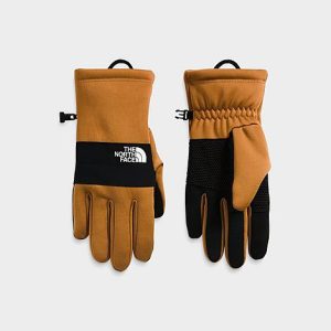 The North Face Inc Men&apos;s Sierra Etip™ Gloves in Brown/Utility Brown Size Large Nylon/Polyester/Fleece - 8206955