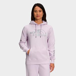 The North Face Inc Women&apos;s Graphic Injection Hoodie in Pink/Lavender Fog Size Small Polyester/Knit - 5885369