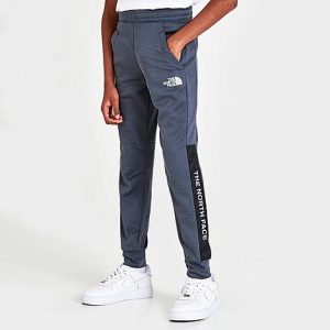 The North Face Inc Kids&apos; Ampere Jogger Pants in Grey/Vanadis Grey Size Small - 5873382
