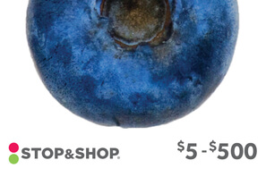 Stop & Shop Gift Card- GC_StopShop_100