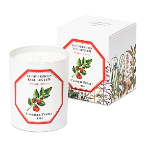 Carriere Freres Tomato Lycopersicon Esculentum Candle, 6.5 oz.- 4033039