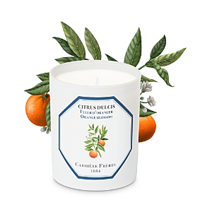 Carriere Freres Citrus Dulcis Orange Blossom Candle, 6.5 oz.- 4120286