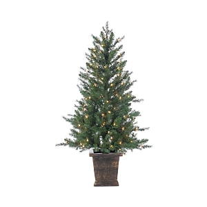 Gerson Company 4' Potted Manitoba Pine- 4486952