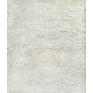 Exquisite Rugs Sheepskin ER3845 Area Rug, 8' x 11'- 4777639