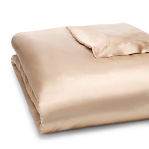 Gingerlily Silk Solid Duvet Cover, Queen