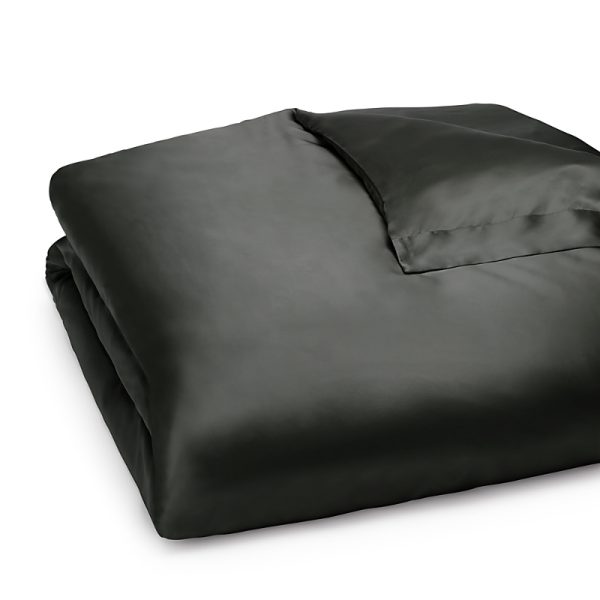 Gingerlily Silk Solid Duvet Cover, Queen