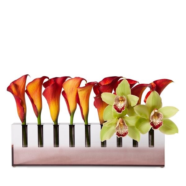 Apeloig Collection Menorah
