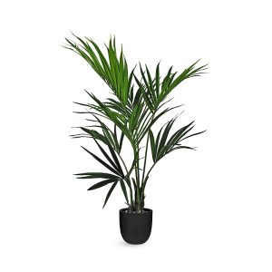 Le Present Kentia Palm Faux Plant Arrangement
