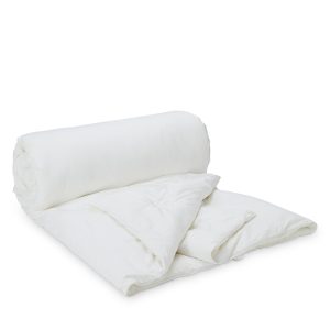 Gingerlily Winter Weight Silk Filled Comforter, Twin