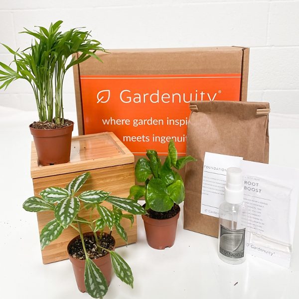 Gardenuity Tropical Desktop Bamboo Garden