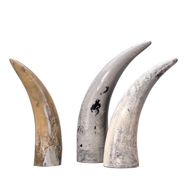 Jamie Young Varigated Decorative Horns, Set of 3