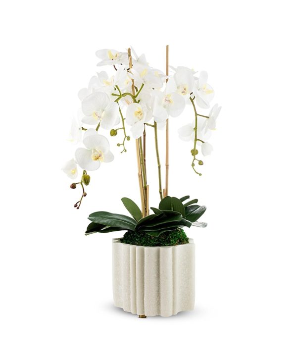 CocoBella Castel Marble Orchid