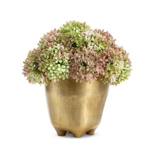 CocoBella Parker Hydrangea Arrangement