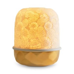 Bernardaud Lampias Led Zinnias Light