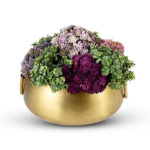 CocoBella Alba Gold-tone Sedum Arrangement