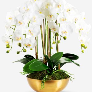 CocoBella Abigail Gold Real Touch Orchid