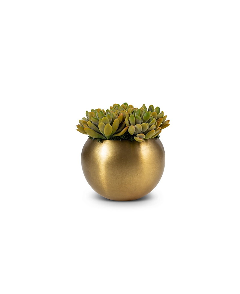 CocoBella Beatrice Gold-Tone Succulent Arrangement Botanical