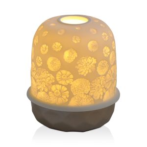 Bernardaud Lampias Led Zinnias Light