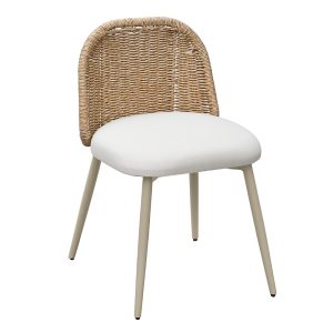 Tov Furniture Alexa Rattan Performance Fabric Dining Chair