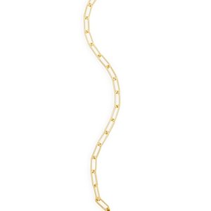 Argento Vivo Paperclip Link Bracelet- 4250436