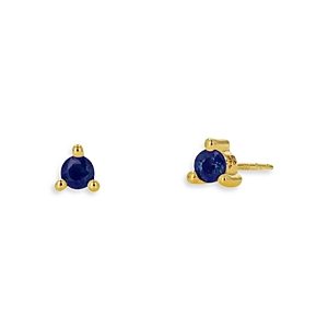 Rachel Reid 14K Yellow Gold Blue Sapphire Stud Earrings- 4732537