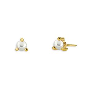 Rachel Reid 14K Yellow Gold Cuiltured Freshwater Pearl Stud Earrings- 4732533
