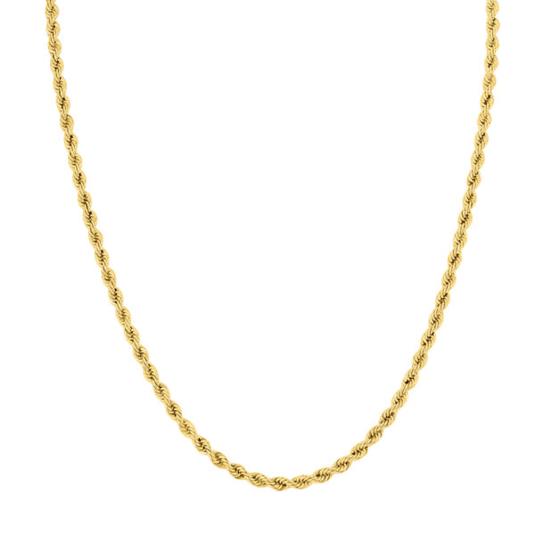 14K Yellow Gold Filled 3.3MM Rope Chain with Lobster Clasp - 30 Inch- ACCR5841930