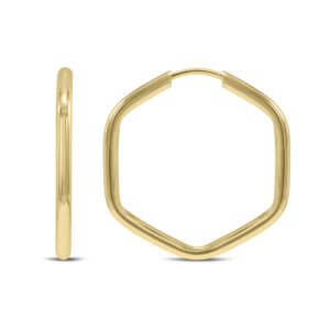 14K Yellow Gold Endless Hexagon Hoop Earrings- ERH62113