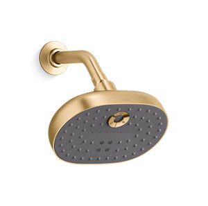 Statement Oblong multifunction 1.75 gpm showerhead with Katalyst® air-induction technology - K-26290-G-2MB