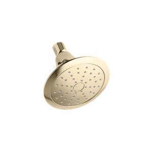 Forté® 1.75 gpm single-function showerhead with Katalyst® air-induction technology - K-10327-G-AF