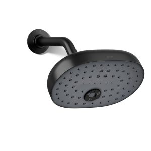 Statement Three-function showerhead, 2.5 gpm - K-26290-BL
