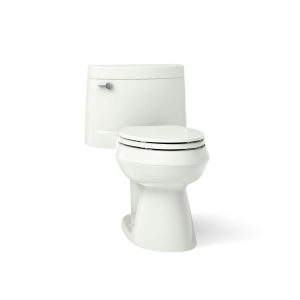 Cimarron One-piece elongated toilet with concealed trapway, 1.28 gpf - K-3619-NY