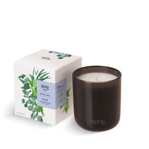 Breathe Breathe Scented Candle (Eucalyptus + Mint) - K-26803-A2-NA