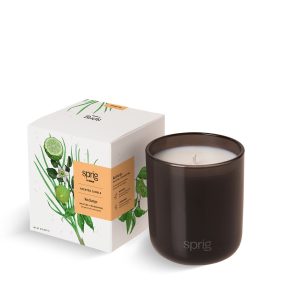 Recharge Recharge Scented Candle (Bergamot + Lemongrass) - K-26803-A4-NA