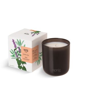 Focus Focus Scented Candle (Clary Sage + Patchouli) - K-26803-A5-NA