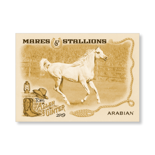Arabian Horse 2019 Topps Allen & Ginter Oversized Mares and Stallions Poster Gold Ed. # to 1- artbble-pos-19agbb-7455-gold-s