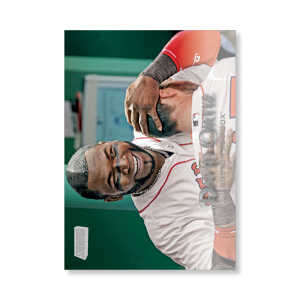David Ortiz 2019 Topps Stadium Club Baseball Base Cards Poster # to 99- artbble-pos-19scbb-1508-s