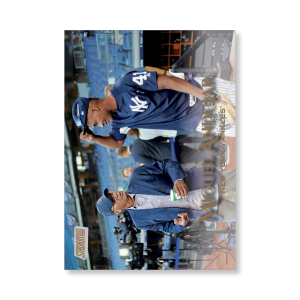 Miguel Andujar 2019 Topps Stadium Club Baseball Base Card Variations Poster Gold Ed. # to 1- artbble-pos-19scbb-3247-gold-s