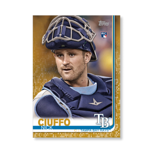 Nick Ciuffo 2019 Topps Baseball Series 2 Rookies Poster Gold Ed. # to 1- artbble-pos-19tbb2-1333-gold-s