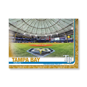 Tropicana Field 2019 Topps Baseball Series 2 Stadium Team Cards Poster Gold Ed. # to 1- artbble-pos-19tbb2-1351-gold-s