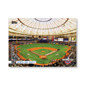 Tampa Bay Rays 2020 Opening Day Baseball Opening Day Poster # to 99- artbble-pos-20odbb-2041-s