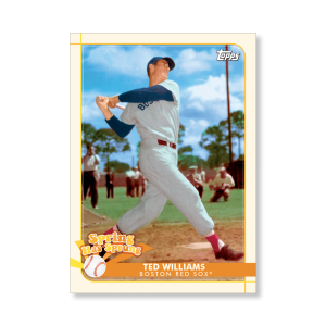 Ted Williams 2020 Opening Day Baseball Spring Has Sprung Poster # to 99- artbble-pos-20odbb-2102-s
