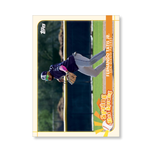 Fernando Tatis Jr. 2020 Opening Day Baseball Spring Has Sprung Poster # to 99- artbble-pos-20odbb-2121-s