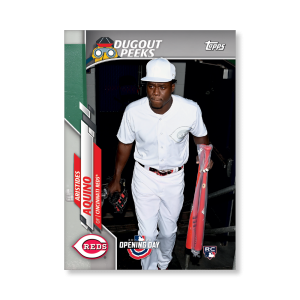 Aristides Aquino 2020 Opening Day Baseball Dugout Peaks Poster # to 99- artbble-pos-20odbb-6111-s