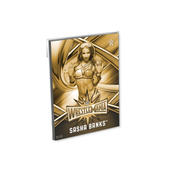 2017 WWE Road To Wrestlemania 5x7 Wrestlemania 33 Roster Set (50 Cards) Gold Ed. - # to 10- artwwele-16c2s-17rtwm-gold-set02