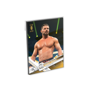 2017 Topps WWE Oversized Complete Base Set (100 Cards) Gold Ed. - # to 10- artwwele-16c2s-17twwe-gold-set01