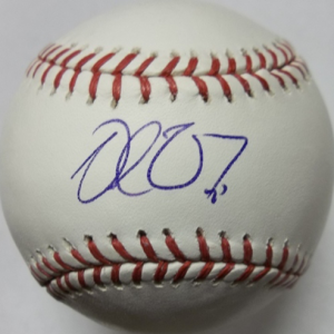 Delmon Young Autographed Baseball- mlbpaa-bbcdyoung
