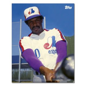Andre Dawson Player Portrait Poster #4-11 x 14- artpp-ad04-130054-s